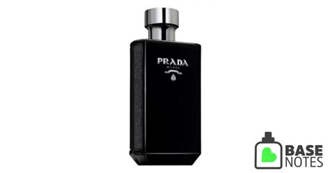 basenotes prada intense|Prada intense amber.